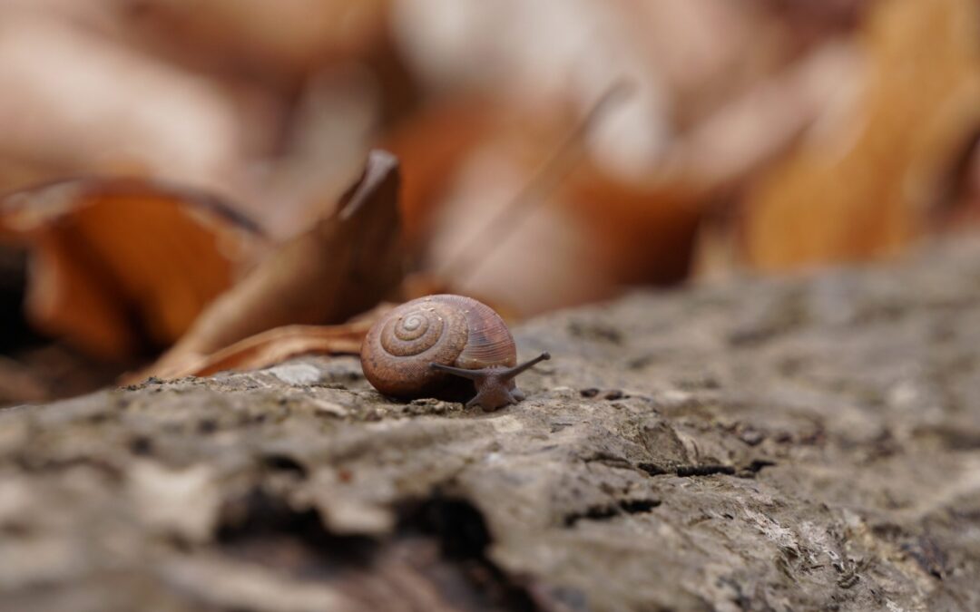 Άφησε πίσω ότι σε βαραίνει.